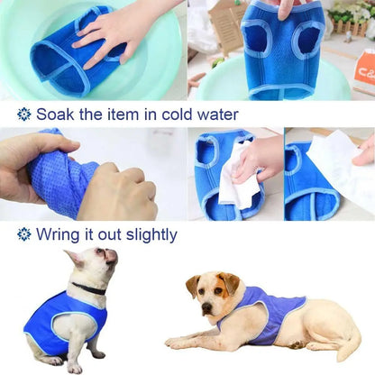 Pet Cooling Vest for Dogs & Cats - Summer Cooling Jacket with Ice Gel Pads, Breathable Heat Relief Gear for Hot Weather