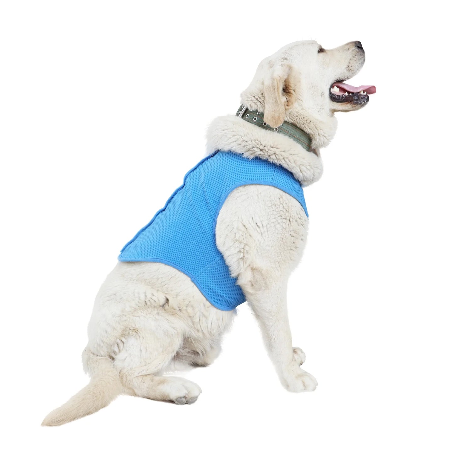 Pet Cooling Vest for Dogs & Cats - Summer Cooling Jacket with Ice Gel Pads, Breathable Heat Relief Gear for Hot Weather