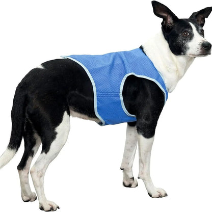 Pet Cooling Vest for Dogs & Cats - Summer Cooling Jacket with Ice Gel Pads, Breathable Heat Relief Gear for Hot Weather
